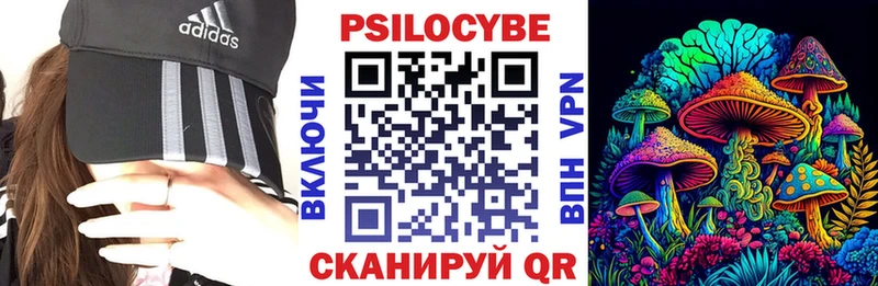 mega   Спасск  Псилоцибиновые грибы Cubensis 